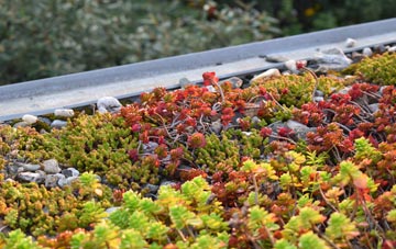 the cost of Beggar Hill green roof installation